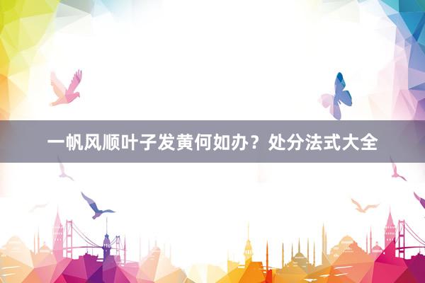 一帆风顺叶子发黄何如办？处分法式大全